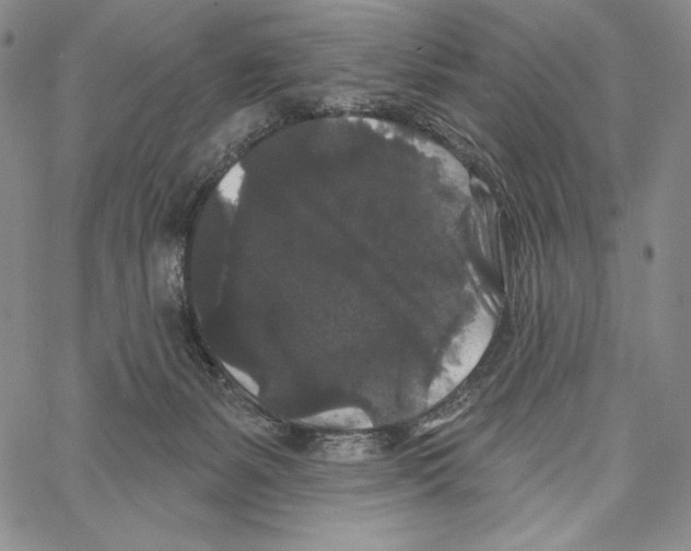 X0000066930127200604211734