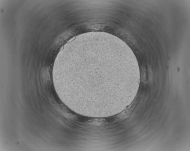 X0000066930128200604211734