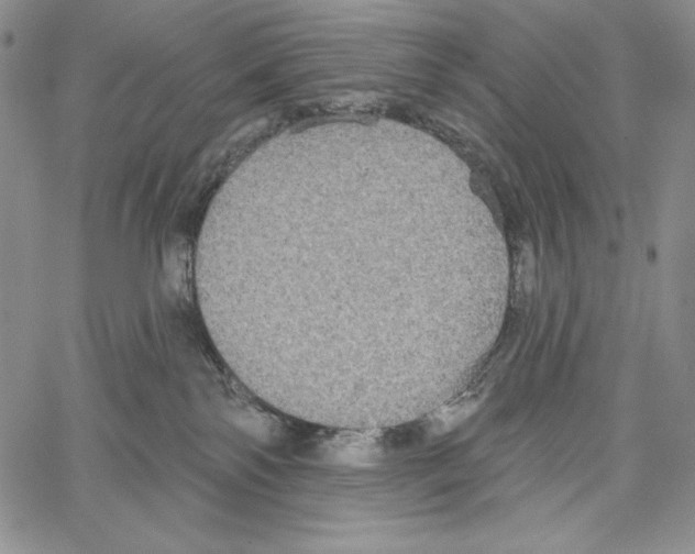 X0000066930138200604211734