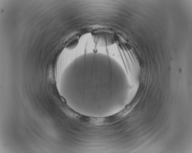 X0000066930143200604211734