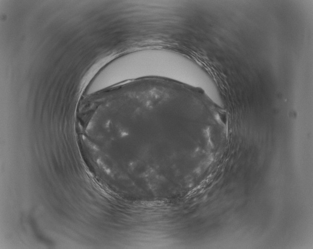 X0000066930147200604211733