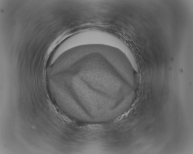 X0000066930150200604211733