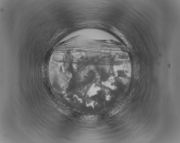 X0000066930161200604211733