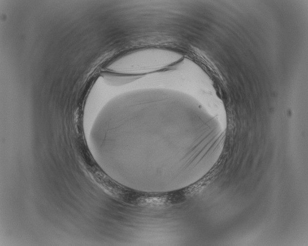 X0000066930163200604211733