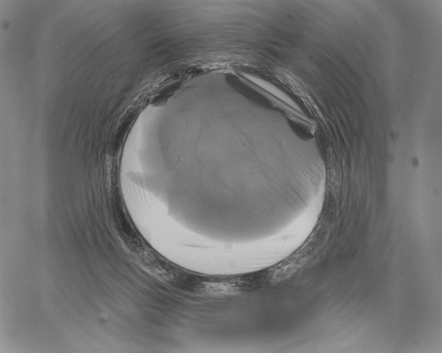 X0000066930167200604211733