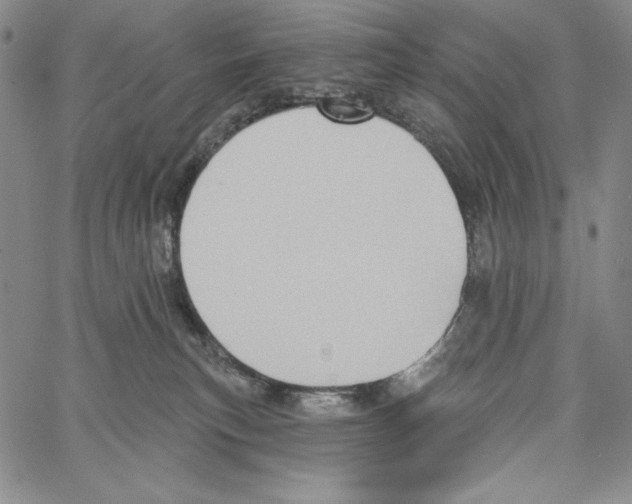 X0000066930183200604211734