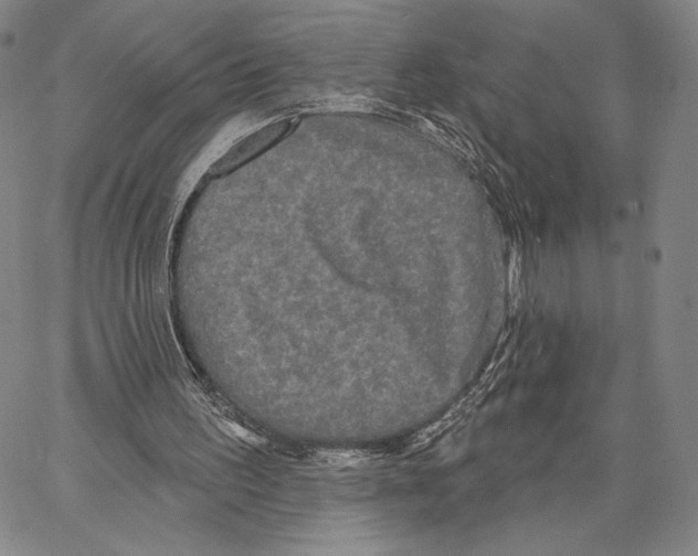 X0000066930195200604211733