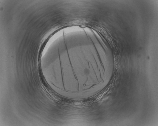 X0000066930196200604211733