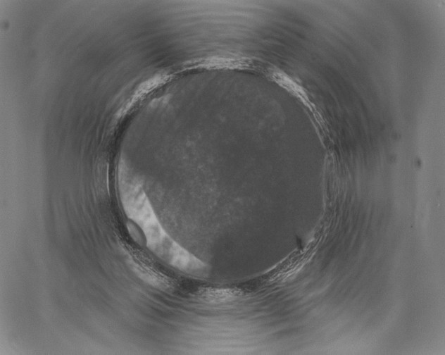 X0000066930205200604211733