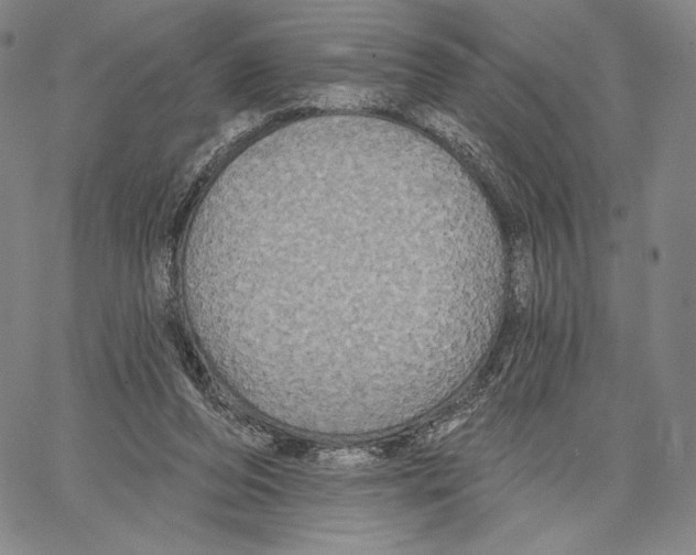 X0000066930208200604211733