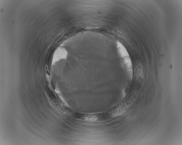 X0000066930214200604211733