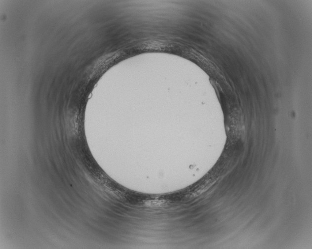 X0000066930216200604211733