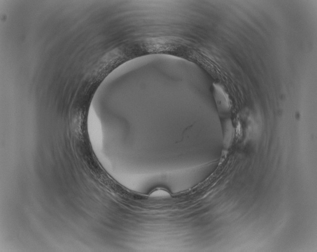 X0000066930219200604211733