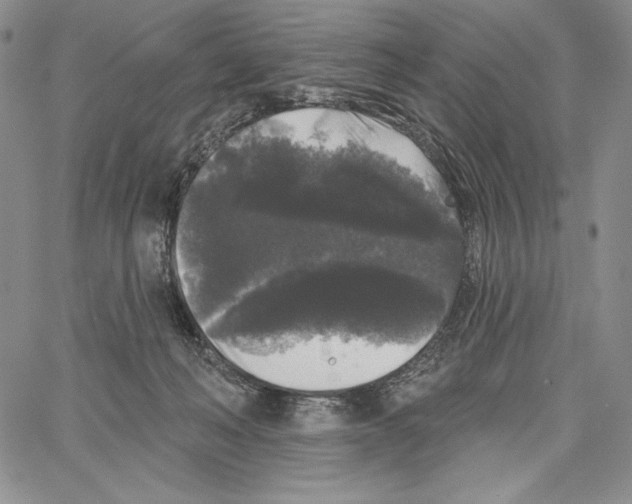 X0000066930222200604211732