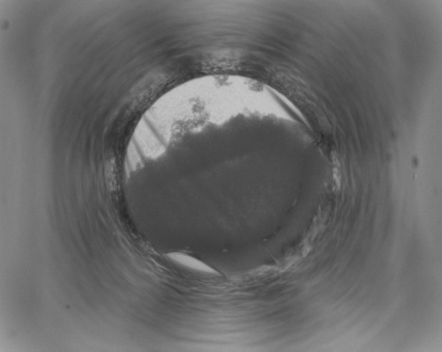 X0000066930224200604211732