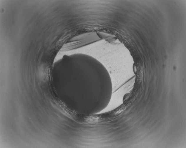 X0000066930227200604211732