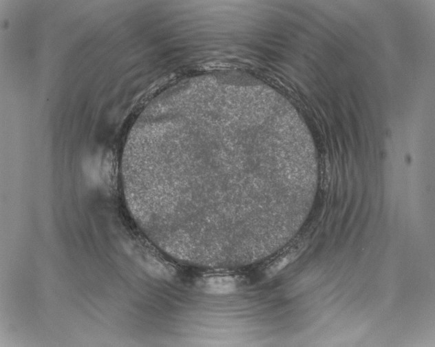 X0000066930228200604211732