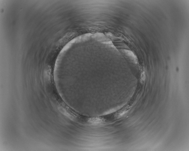 X0000066930231200604211732