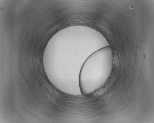 X0000066930233200604211732