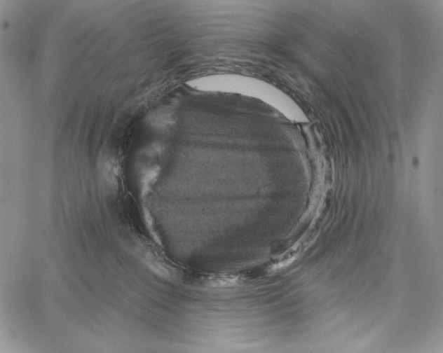 X0000066930235200604211732