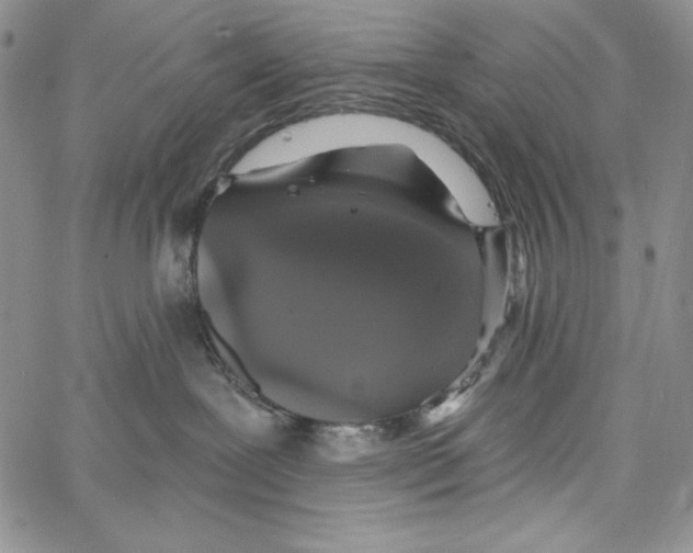 X0000066930239200604211732
