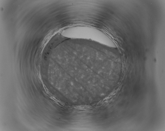 X0000066930241200604211731