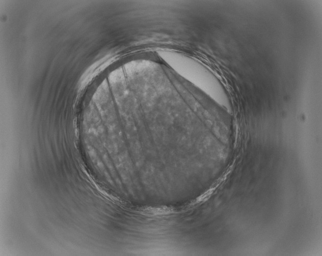 X0000066930245200604211731