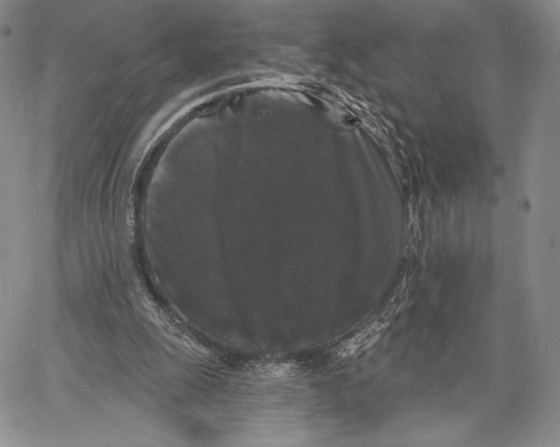 X0000066930247200604211731