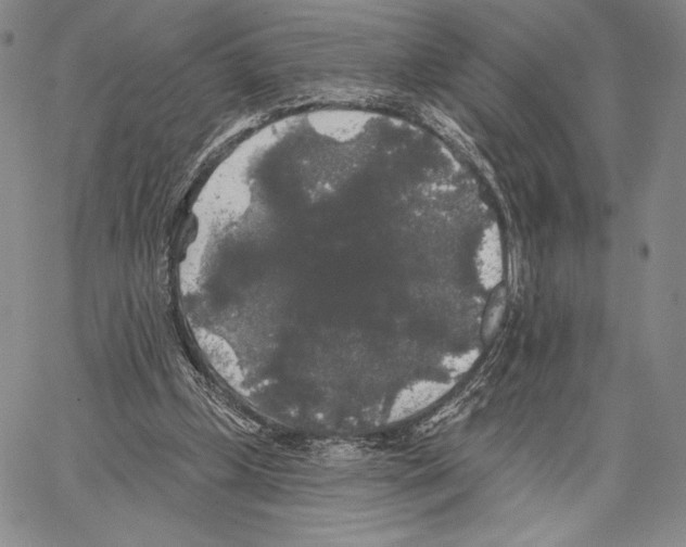 X0000066930249200604211732