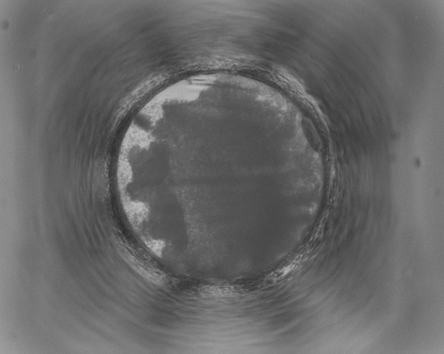 X0000066930250200604211732