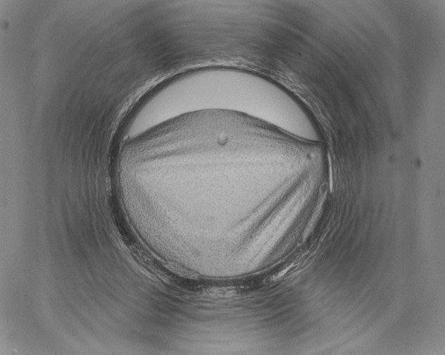 X0000066930252200604211732