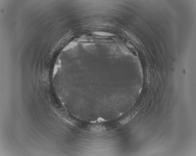 X0000066930258200604211732