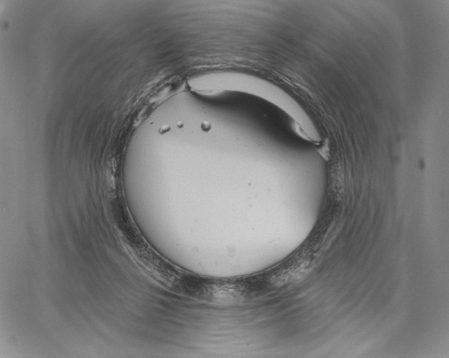 X0000066930264200604211732