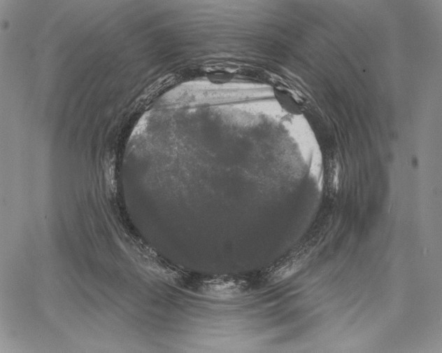 X0000066930267200604211732
