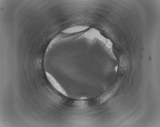 X0000066930269200604211732