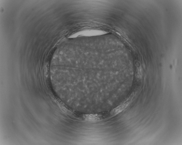 X0000066930273200604211732