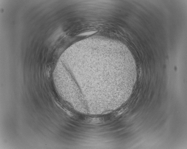 X0000066930276200604211732