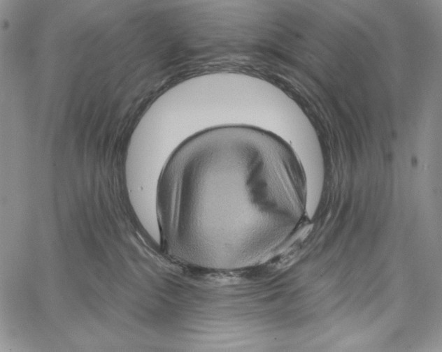 X0000066930284200604211732