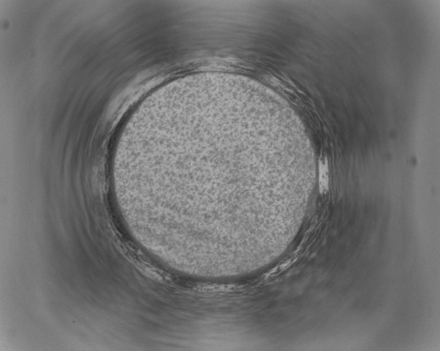 X0000066930291200604211731