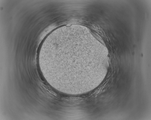 X0000066930292200604211731
