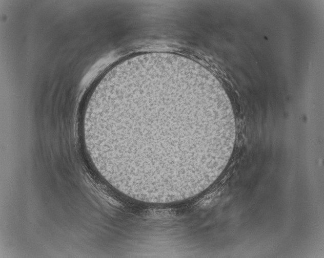 X0000066930296200604211731