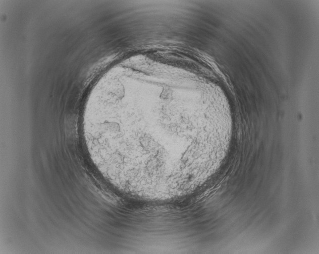 X0000066930299200604211731