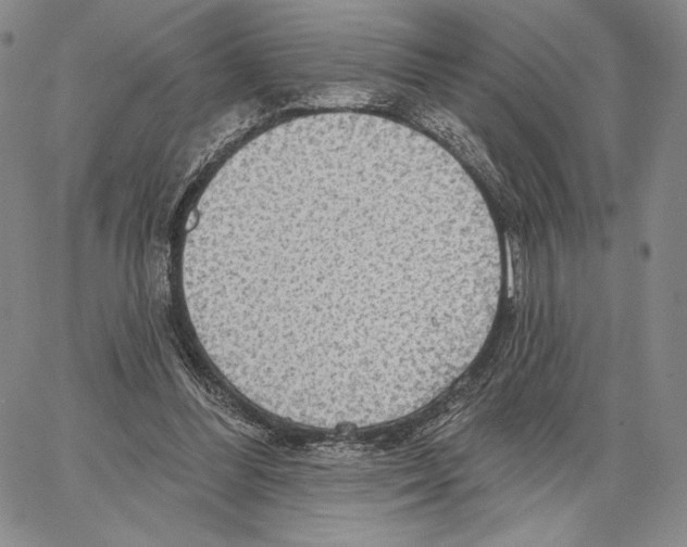 X0000066930300200604211731
