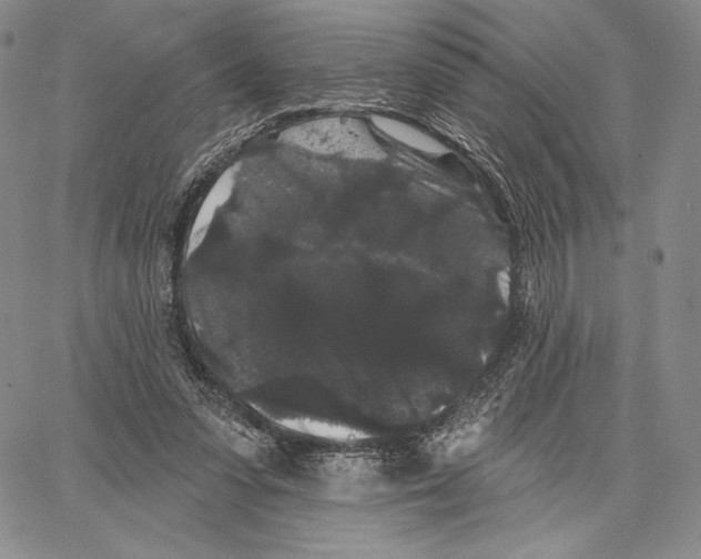 X0000066930303200604211731