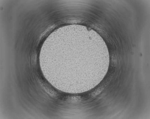X0000066930304200604211731
