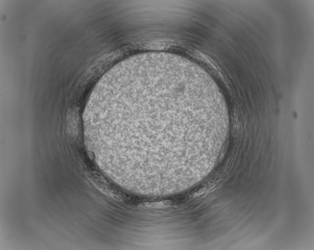 X0000066930307200604211731