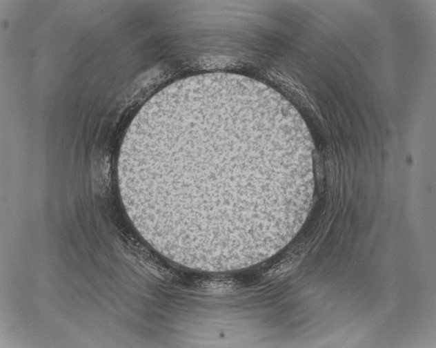 X0000066930308200604211731