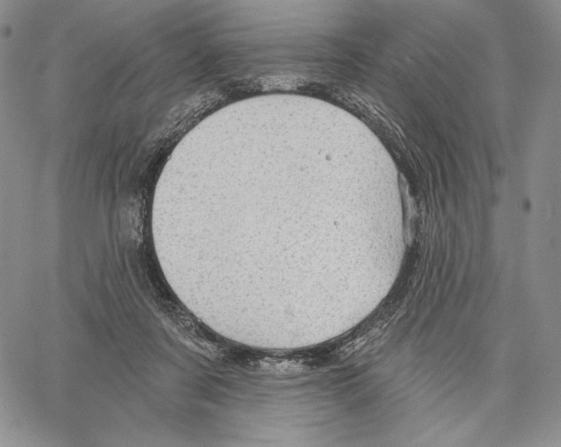 X0000066930311200604211731