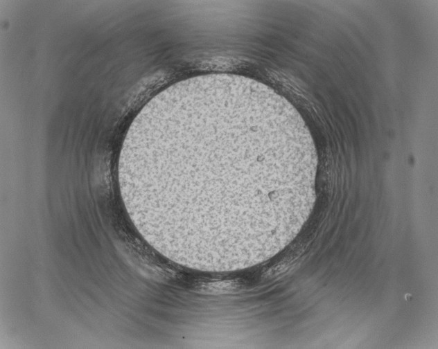 X0000066930312200604211731