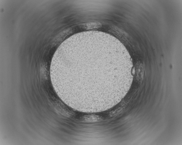 X0000066930316200604211731